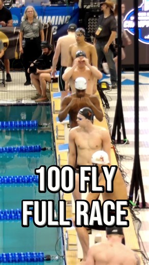 Katie Ledecky Shatters 1500m Freestyle World Record