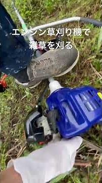 エンジン草刈り機で雑草を刈る #庭のある暮らし #草刈り #草刈り機 #鳴門 #GrassCutting