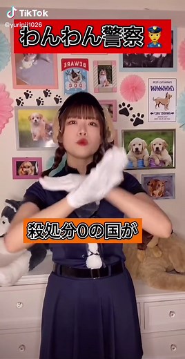@mimiabe1 への返信 【わんわん警察👮‍♀️】日本で殺処分がなくならない理由！！#犬の豆知識#豆知識#犬#dog#わんわんアイドル