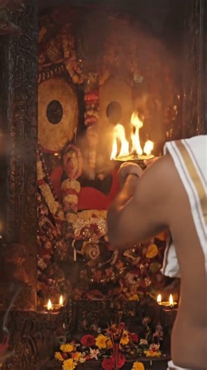 जय जगन्नाथ 🙏 | Shri Jagannath Darshan | Jagannath Bhakti Shorts #premanandjimaharaj