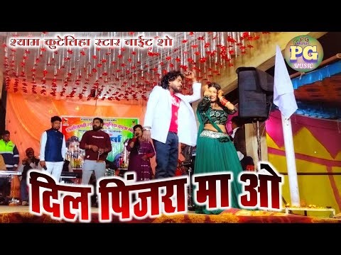 दिल पिंजरा म ओ || Dil Pinjra Ma O || New Stage Show || Shyam Kuteliha Anshu Anant Song ||