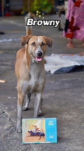 A few more of our gorgeous calendar models!! ❤️ click to buy the Embark calendars on https://embarkshop.lk/product/embark-calendar-2026-2/ Just Rs. 1200, They make great Christmas gifts too 🎁 You can also get your calendar at Seed Café, Glory, Grind, The Deep End, Dolce Italia, Gflock (all outlets), Selyn, Premium Stationery (Colombo & Kollupitiya), English Cake Company, Radicle Café, Carnage, Jagro, Baylee, Best Care, Ranbath, Bowl’d, Isso, Java, Kapruka, Crepe Runner, Noeline’s and many more 