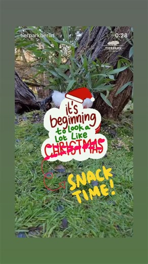 Tierpark Berlin on Reels | Facebook
