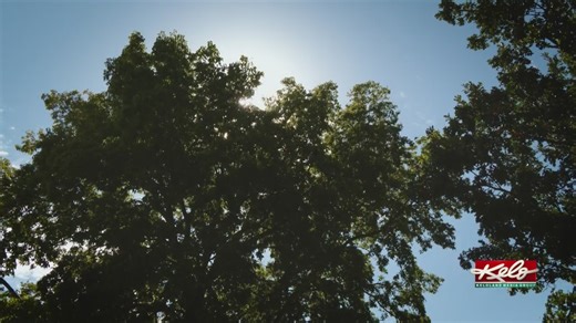 What's the weather outlook for October?