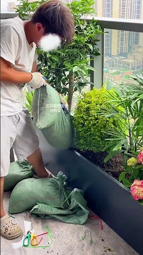 Stunning triangle plum garden on high-rise balcony renovation