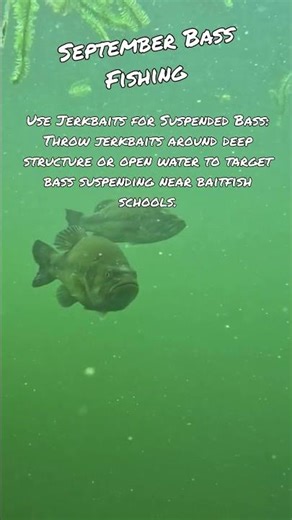 September Bass Fishing Tips #25