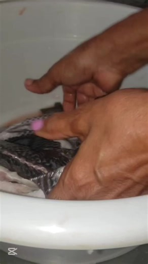 Reasons Behind TikTok Video Removals and Appeals