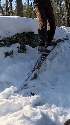 Nature's rainbow rail