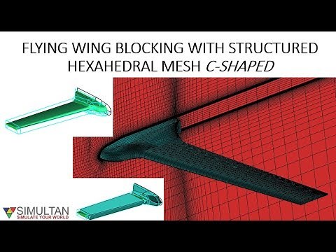 FLYING WING STRUCTURED C-SHAPED HEXA MESHING WITH ICEM CFD