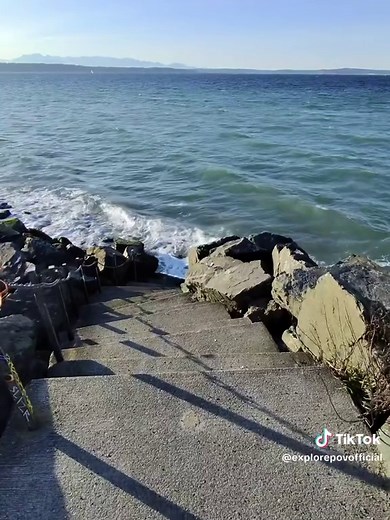 Explore Discovery Park: Seattle's Hidden Gem