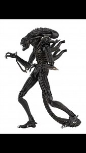 ALIEN WARRIOR, ALIENS, FIGURA DE 8 PULGADAS, CON DIORAMA Y ACCESORIOS, NUEVA, SELLADA, MARCA McFARLANE. ESCRÍBENOS AL WA 0994357027... #limited_edition_on_line #alien #todossomoscoleccionistas $#actionfigures #mcfarlanetoys | Limited Edition, Ventas on Line | Facebook