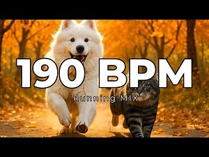 190 BPM Running & Workout Mix | 1 Hour | Metronome Synced | Workout Motivation