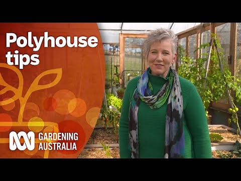 Using a polyhouse for growing produce year-round | Garden Inspiration | Gardening Australia