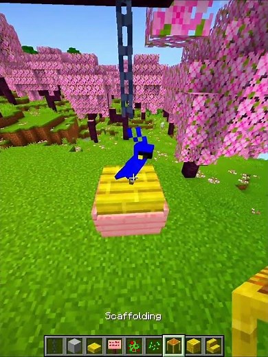 Minecraft Pet House 🐶