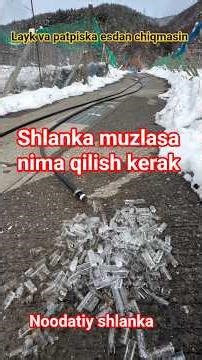 Qaqir chorva ☎️ 95 946 22 33 #2025 #biznes #bozor_olami #himmatiz #qaqir #sheep #vodiyuz #qoyhona