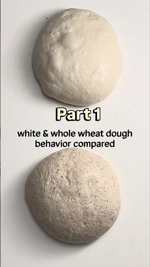 White vs. Whole Wheat: The Ultimate Dough Comparison
