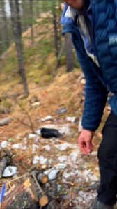 57K views · 737 reactions | Building a Makeshift Shelter, Survival Skills in the Woods! #survival #survivalskills | Nature Daddy | Facebook