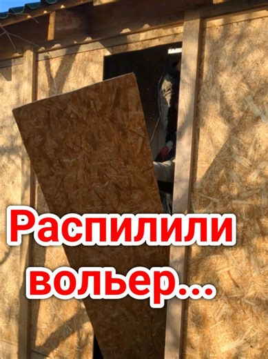 Мы пошли на крайние меры и сделали еноту окно... 🪟 #деревня #енот #стройка #животные #ремонт