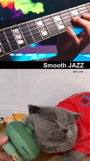 This is how smooth jazz feels 😻 Pdf(tab/notation) on Patreon📚🎸 #guitarlesson #jazzguitar #do_jazz #guitarlicks #guitarteacher #guitartips #improvisation #guitarsolo #fusionguitar | David Ovejero