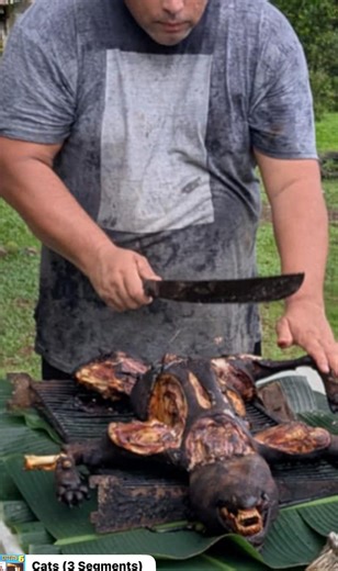 1.8K views · 34 reactions | Happy holiday people | Jerry Booth | Facebook