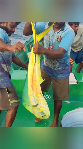 Deep sea fishing #reels | கடல்