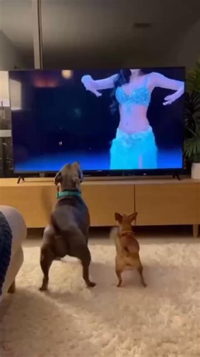 🤣😍😅 | Claude Mathieu