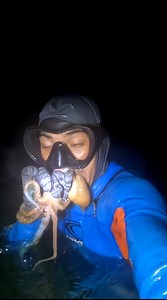 Another Big Size Cuttlefish and Assorted Fish | Negros LIFE