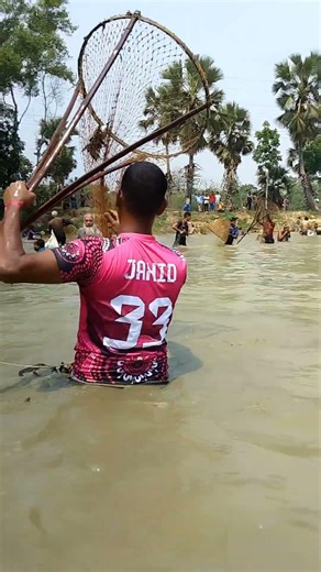 Catching Fish with Chabi Net | Traditional Fishing in Bangladesh #Shorts