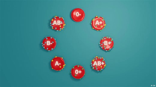 Blood: How our "liquid organ" runs the body