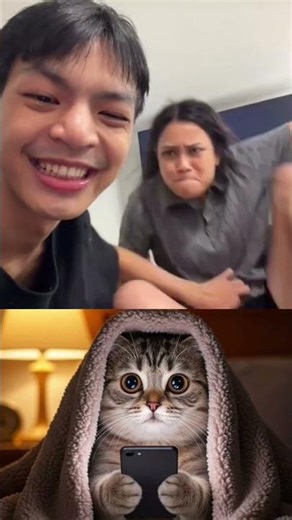 Give this video title (warning answer) #trending #cat #funny #memes