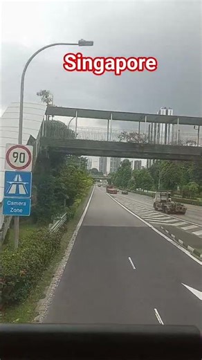 Why Singapore Streets Are SO CLEAN #travelmanik #singapore #shorts #shortsfeed #shortsvideo