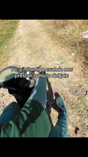 @Hugo 🤪4x4 perros #paulita #amigos #pobres #jale #desmadre