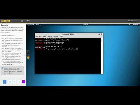 TestOut PC Pro 9.4.3 Use Shell Commands