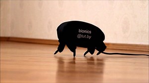 Robot (walking self-learning)