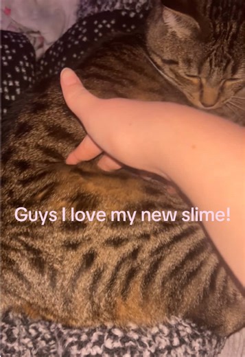 Isn’t my new slime fabulous? #slime #new #cat #funny #fyp | slime