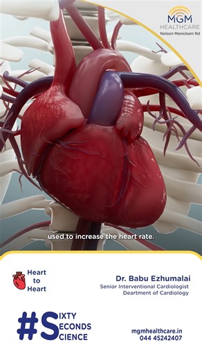 #HeartToHeartSeriesWithDrBabu Can your heart run on a capsule-sized device? What is the leadless pacemaker? Dr. Babu Ezhumalai, Senior Interventional Cardiologist in MGM Healthcare, gives clarity about leadless pacemaker and says that leadless pacemaker is used to increase the heart rate for heart blocks. A breakthrough in heart care, making life simpler and safer. A tiny device, placed directly inside the heart, keeping your heartbeat steady. Stay tuned for upcoming reels to know more about you