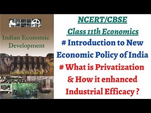 (P2 What was Privatization under New Economic Policy 1991 ?) NCERT Class 11 Economics Chapter 3