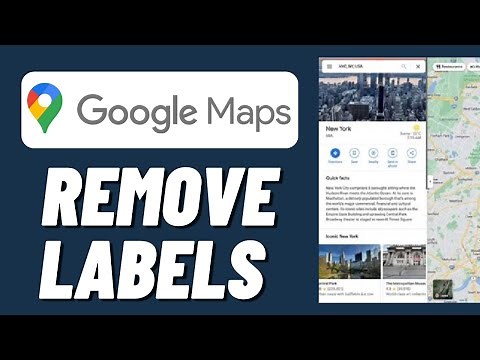 How to Remove Labels on Google Maps (2023)