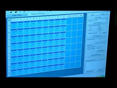 How to use stratagene qPCR machine