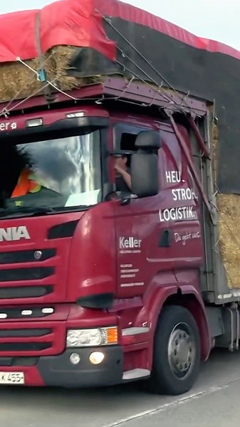 Scania Hauls a GIANT Hay Load!