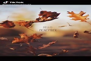 schönes Video 'Hello November - Hallo November' - FUNPOT