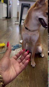 [3 Interactive Modes] Cheerble Intelligent Dog Toy Wicked Ball PE with LED Lights, Made of Natural Rubber, Jumping Activation Ball for Medium/Large Dog Birthday Gift, DC Rechargeable