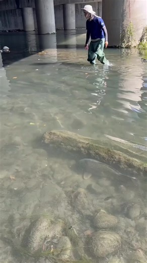 Best Fishing Bait Tips for Your Next Adventure