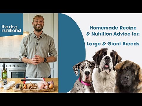 Large & Giant Dog Breeds - Balanced Homemade Dog Food by The Dog Nutritionist