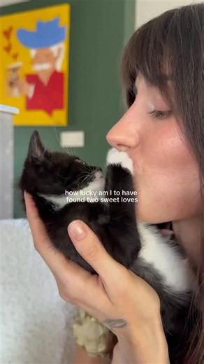 160K views · 688 reactions | the fact that this cat and I receive the same treatment 輸‍ | Stephen Sanchez | Facebook