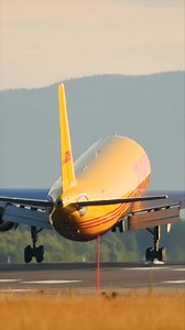 2.1M views · 27K reactions | Happy International Thank-You Day from the whole DHL Express crew! A big thank you to our employees, partners and customers! Your trust keeps us going and helps us to connect people!  #DHLExpress #InternationalThankYouDay #ThankYou | DHL Express | Facebook