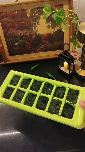 Atiya Aamir on Instagram: "Green chutney recipe for Ramadan🌶️ 😍| Make and freeze it for Ramadan|Time saving tips ideas for Ramadan ✨|Episode 02 . . Ingredients: - 1 box green dhaniya - 4-5 garlic cloves - 5-6 green chillies . . Method: 1- clean dhaniya and wash it. 2- put it in bowl. 3- Add garlic and green chillies in it. 4- blend it and here you have it. . . Benefits: 1- time saving technique for Ramadan 2- make your ibadah easy in Ramadan . . Follow @atiya_cooks for more Ramadan recipes and