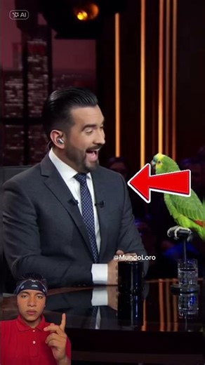 Parrot on national television 😂😱