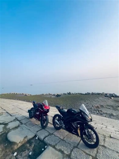 Vibrant Black Berry and Cherry Red Colors Explained