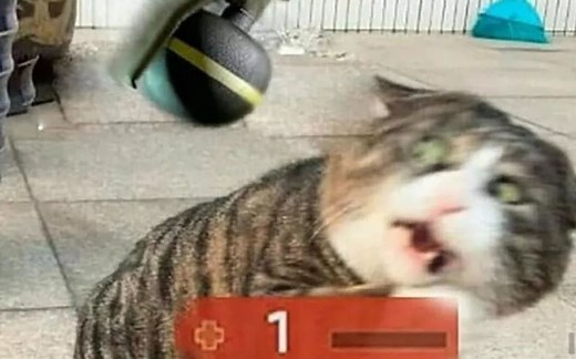 CSGO AMD A卡改4:3拉伸